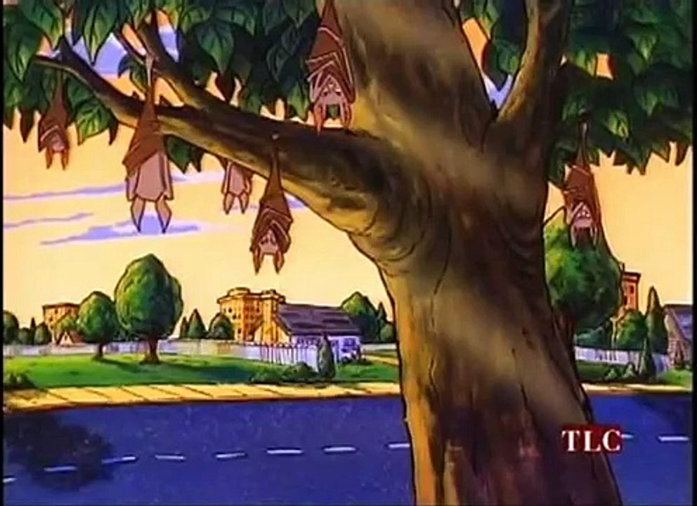 The Magic School Bus E17 - Going Batty