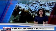 Warga Sumba Timur Tewas Dimangsa Buaya