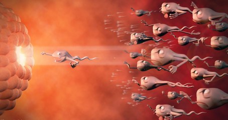 9 mois de grossesse en 4 minutes