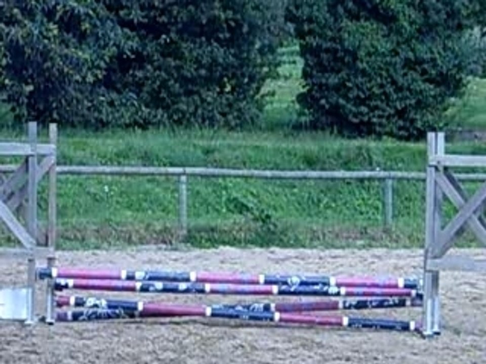 Photo du concour du 30.09.2007 050