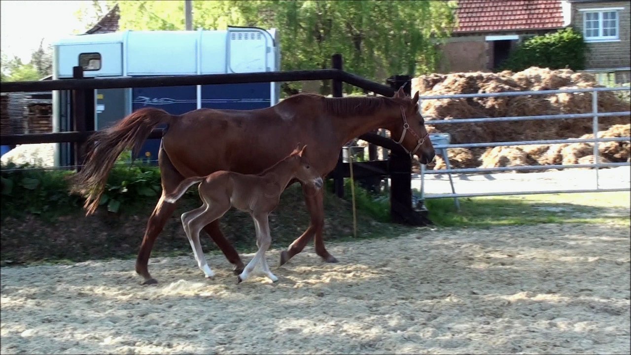 Huny d'or des Edènes 3 et 7 jours