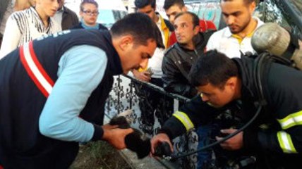 Tekirdağ Itfaiye, Yangından Kurtardığı Yavru Kediye Oksijen Verdi