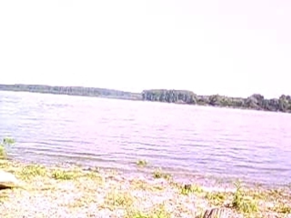 On the Danube we hit the frogs in the water - Vidin