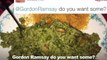 Guy Reacts To Ruthless Gordon Ramsay Tweets