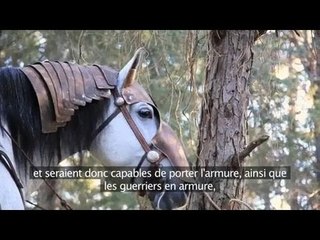 Les Cavaliers du Rohan : la liste des montures de guerre
