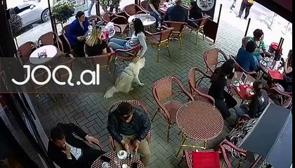 Vajzat vjedhin celularin ne mes te dites