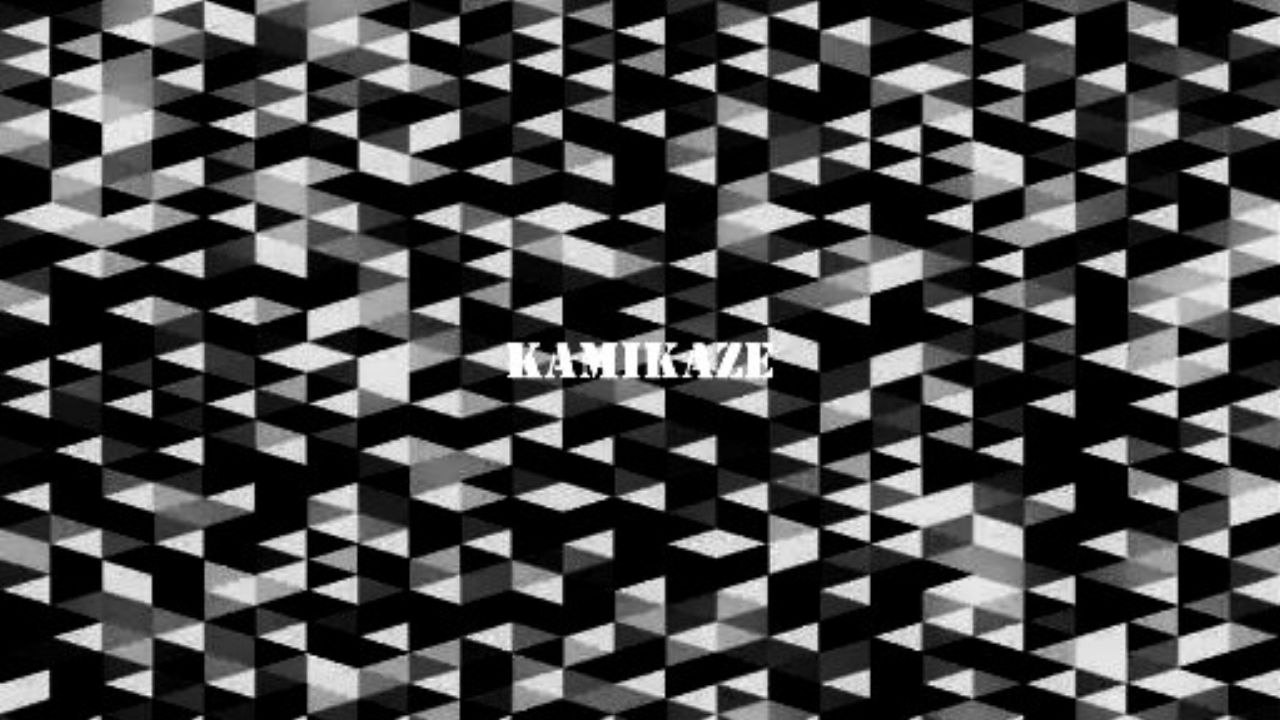 Kamikaze- Egotrip