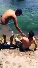 Cuando tu mejor amigo (el perro) te hace el paro