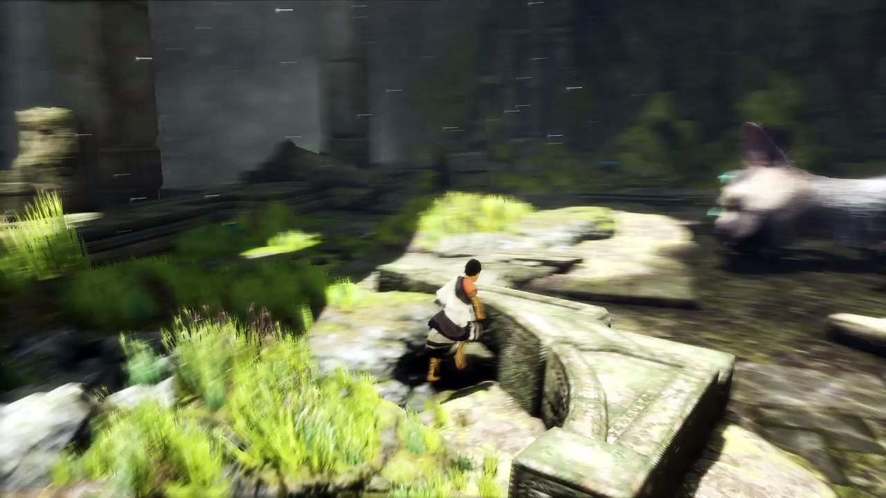 The Last Guardian™