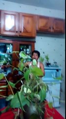 Mãe, olha a cigarra que linda! / Mother look that beautiful cicada!