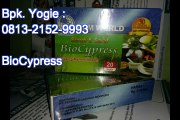 0813-2152-9993(Bpk Yogies) Stokis BioCypress Semarang, Agen BioCypress Semarang, Stokis Bio Cypress Semarang
