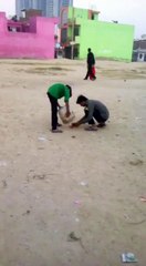 Bad Luck Of Dog Boom fuuny video