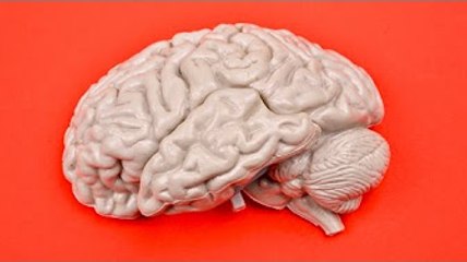 SQUEEZIE-CE JEU PIÈGE TON CERVEAU