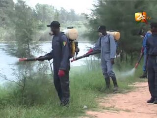 Hann Mariste : l'Etat en guerre contre les moustiques et autres cafards