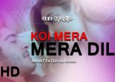 koi Mera Dil Da || Rahat Fateh Ali Khan || Hayat & Murat || Romantic Songs