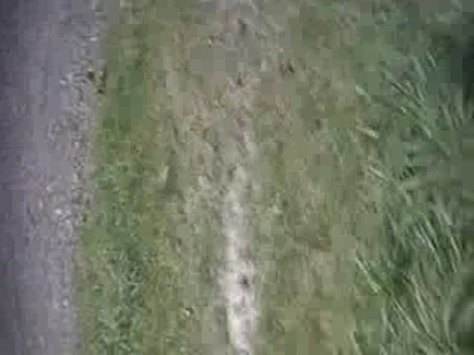 montdidier-city,les delires 2