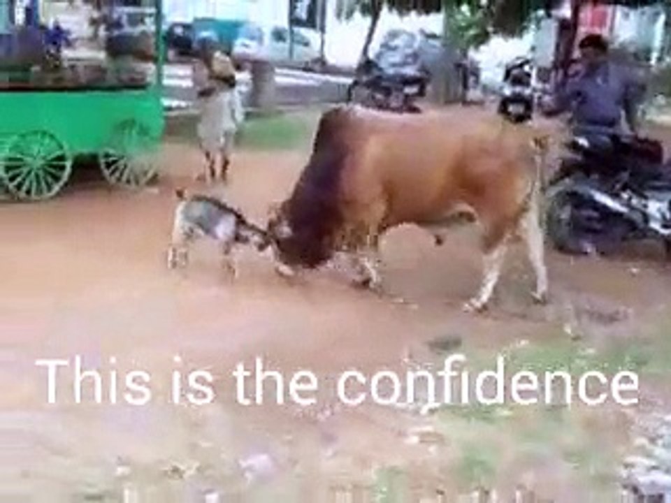 Self confidence