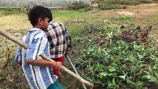 Wow! Two Amazing Boys Catch A Big Snake In Hole - How To Catch A Big Snake In Hole In Cambodia