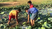 Amazing Eel Trap - How To Make Eel Trap With Plastic Bottle - Amazing Boys Catch Eel