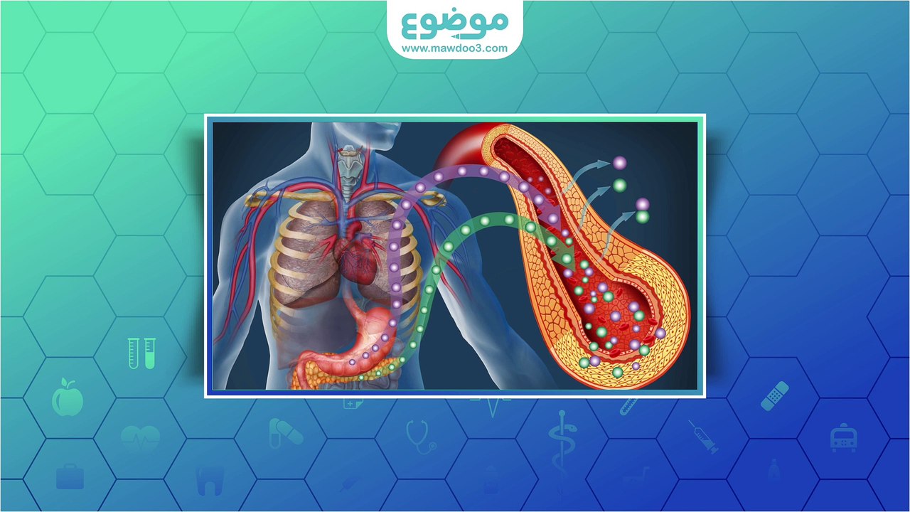 #موضوع: ما هو فحص الانسولين الصيامي