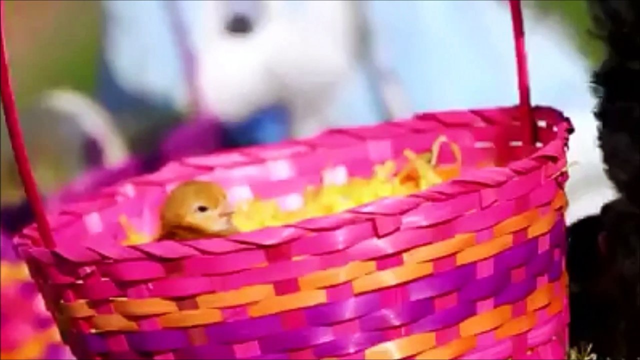 Joyeuses Pâques 2017