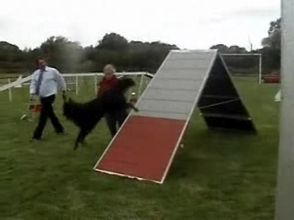 Concours agility Créole Mersuay