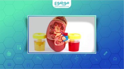 #موضوع: التبول الدموي