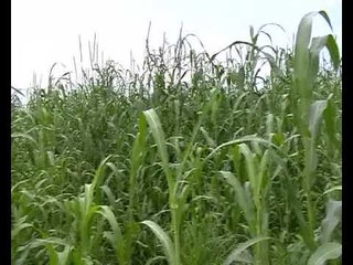 Le ministre Abdoulaye Baldé en tourné dans les régions de Kolda et Tambacounda