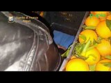 Nola (NA) - Sequestrati 8 quintali di hashish in un carico di arance (24.03.17)