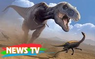 Giả thuyết mới về nạn tuyệt chủng của khủng long