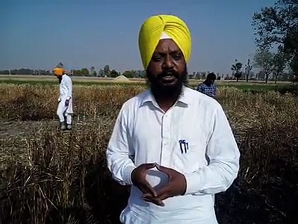 ਕਣਕ ਦੇ ਖੇਤ ਵਿੱਚ ਲ਼ੱਗੀ ਅੱਗ ਮਦਦ ਕਰਨ ਪਹੁੰਚੇ ਅਾਮ ਅਾਦਮੀ ਪਾਰਟੀ MLA ਮਨਜੀਤ ਸਿਂਘ ਨਿਹਾਲ ਸਿੰਘ ਵਾਲਾ