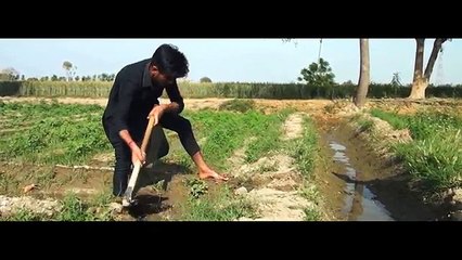 Yaar Beli - Guri __ Latest Punjabi Song 2017 __ A Film By NIGHT MEDIA __