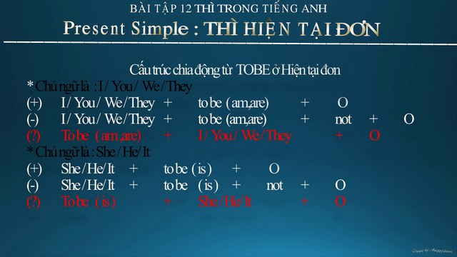 Lesson 1 : Present Simple Exercise (P4) | Bài Tập Thì Hiện Tại Đơn (P4) | Có Đáp Án