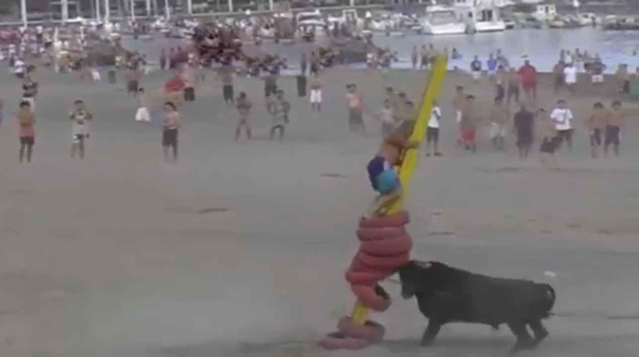 amezing Bull fighting