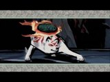 Okami HD : PS3 trailer
