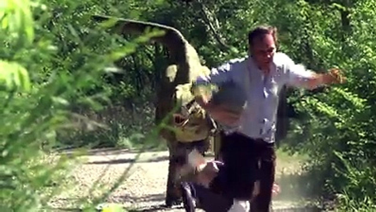 (Hors Foot) Pâques : La chasse aux œufs est ouverte [Source : Rémi Gaillard]