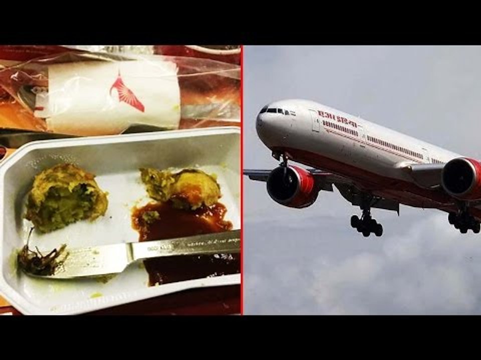 Air India serves dead cockroach in food, passen...