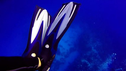 Cozumel Mexico Diving Columbia Deep 80ft Drop In