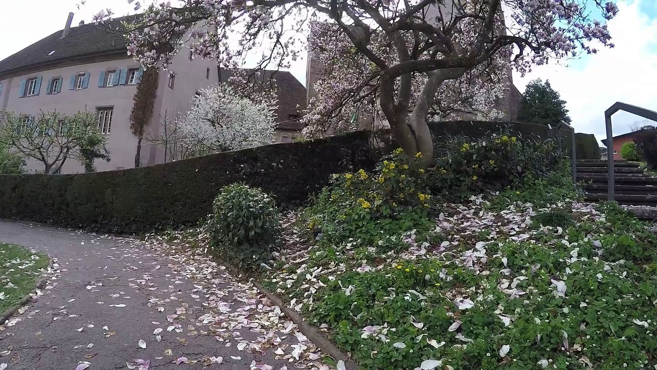 STREET VIEW: Alpirsbach in the Black Forest in GERMANY