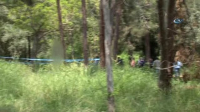 Adana'da Bir Kişi Ormanlık Alanda Kendini Ağaca İple Asarak İntihar Etti