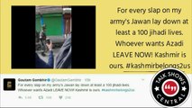 Javed Afridi Reply to Gautam Gambhir on Kashmir - Trending News