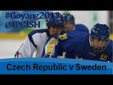 Ice sledge hockey - Czech Republic v Sweden - 2013 IPC Ice SledgeHockey World Championships A Pool
