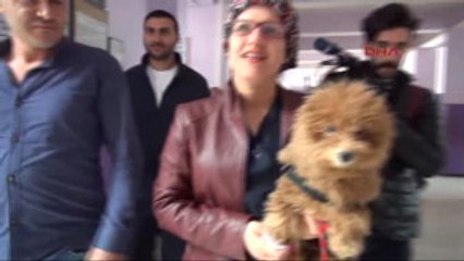 Kars Oy Kullanmaya Köpeği Ile Geldi
