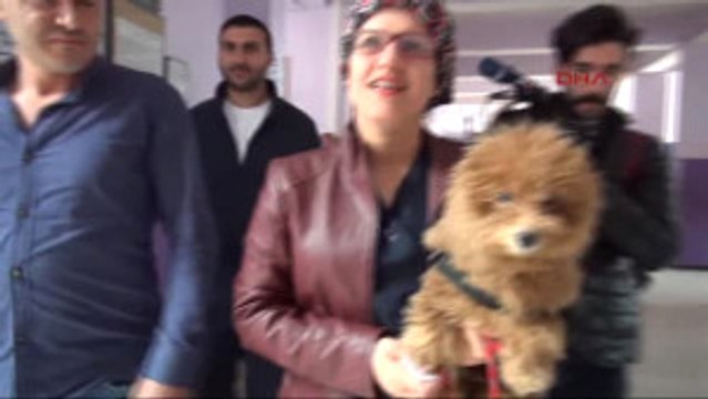 Kars Oy Kullanmaya Köpeği Ile Geldi