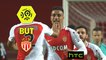 But Nabil DIRAR (69ème) / AS Monaco - Dijon FCO - (2-1) - (ASM-DFCO) / 2016-17