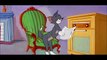 Tom and Jerry, Tom et Jerry épisodes drôles complète - Episode 102 - Down Beat Bear (1956) [part 1]