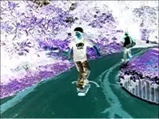 we are the birds and the bees sk8 and guitar