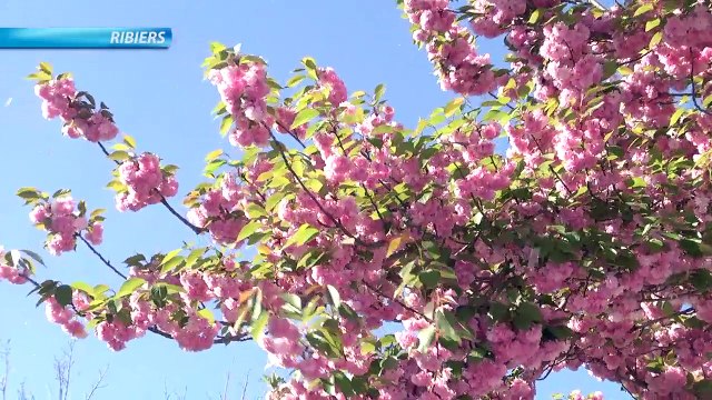 Alpes du Sud : c'est la course aux oeufs de Pâques !