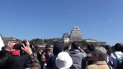 ブルーインパルス姫路城空を華麗に舞う！（修理完成祝賀飛行）2015.3.26