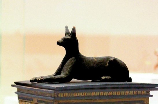 Les animaux sacrés des pharaons [Documentaire France 5]